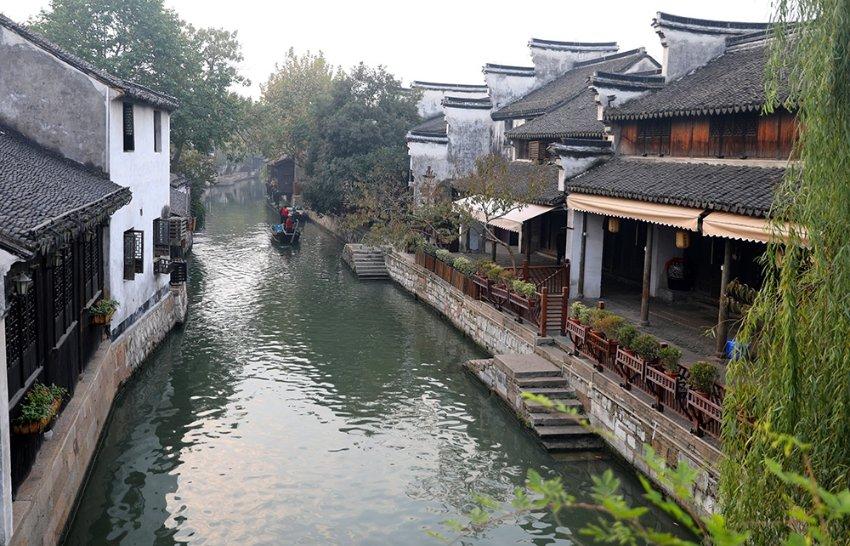 呆萌动物园